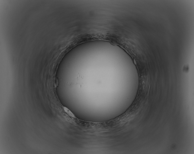 X0000093451057200710191058