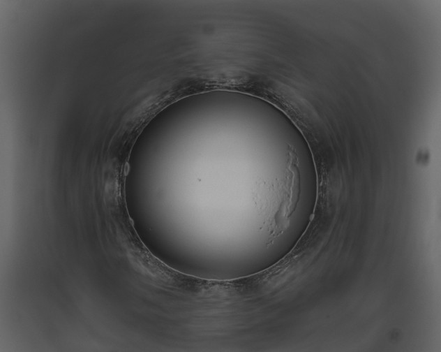 X0000093451058200710191058