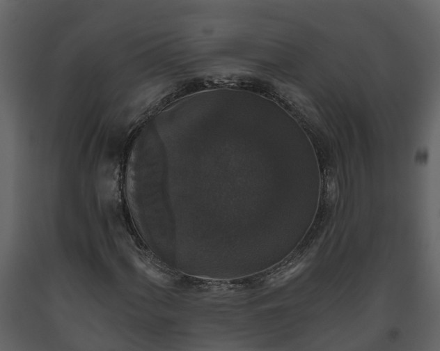 X0000093451060200710191058