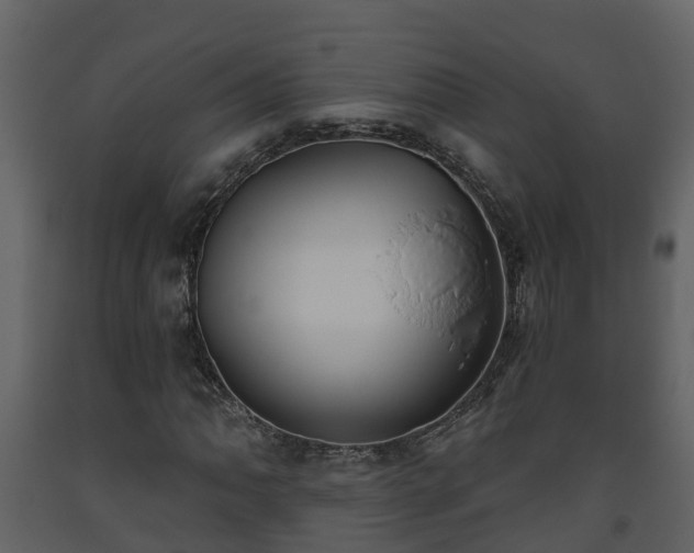 X0000093451062200710191058