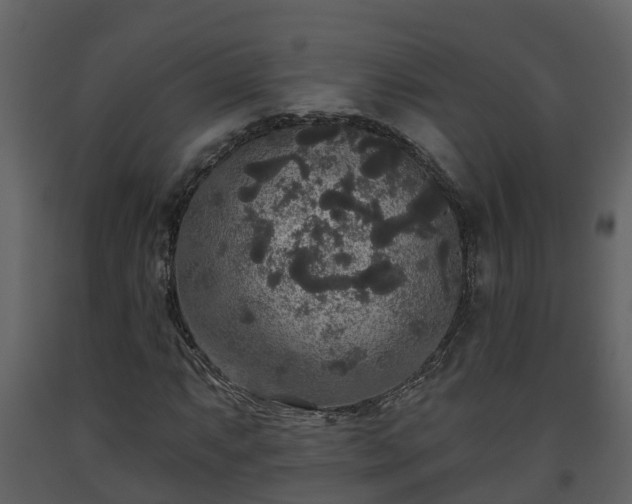 X0000093451063200710191058