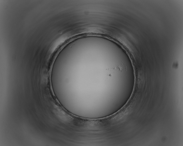 X0000093451067200710191058