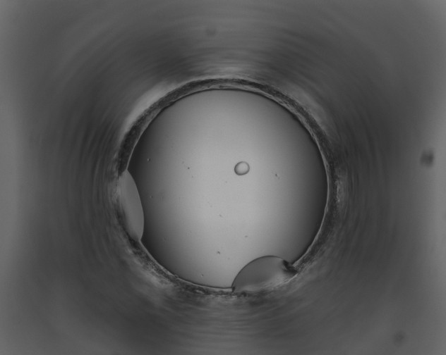 X0000093451069200710191058