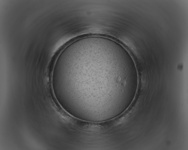 X0000093451070200710191058