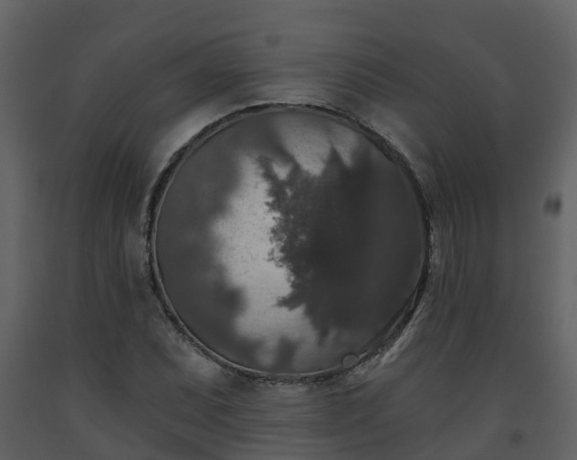 X0000093451071200710191058