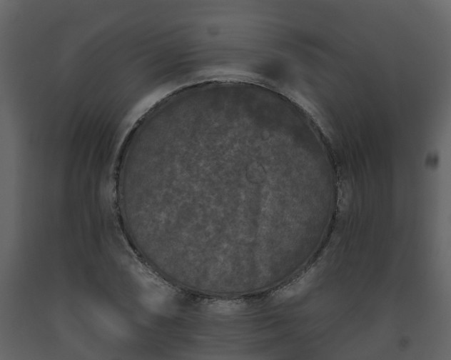 X0000093451074200710191058