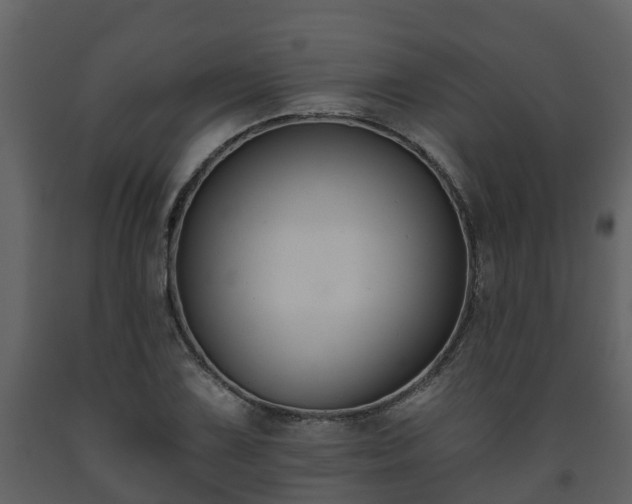 X0000093451075200710191058