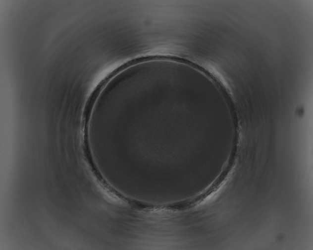 X0000093451077200710191058