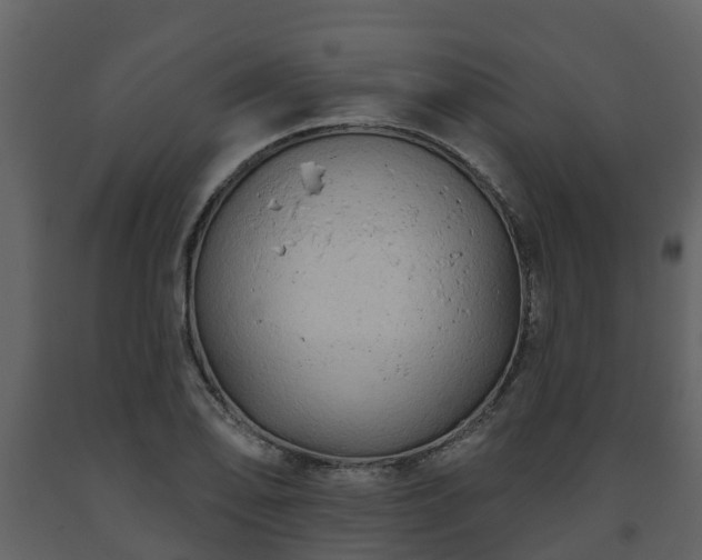 X0000093451078200710191057