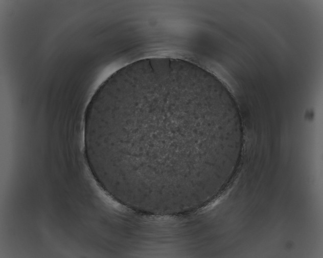 X0000093451079200710191057