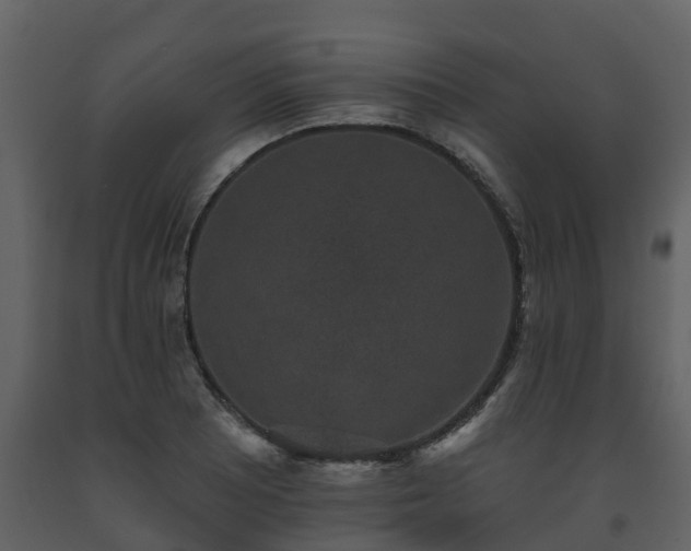 X0000093451081200710191057