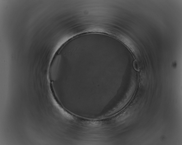 X0000093451084200710191057