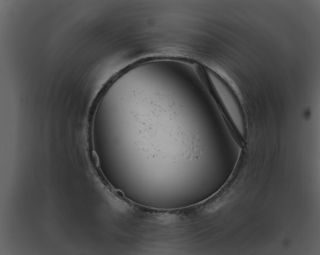 X0000093451085200710191057