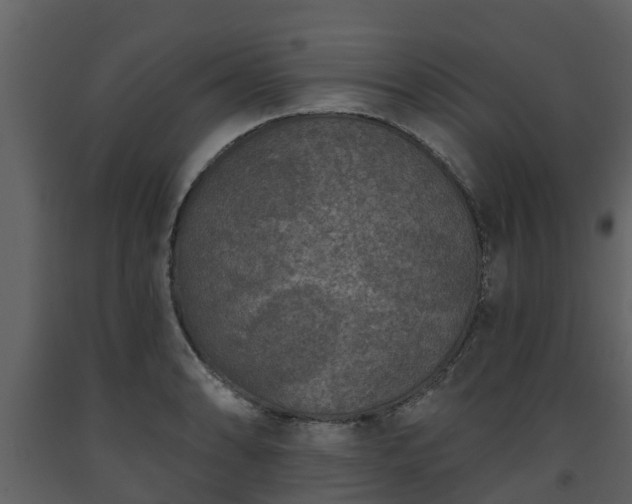 X0000093451086200710191057