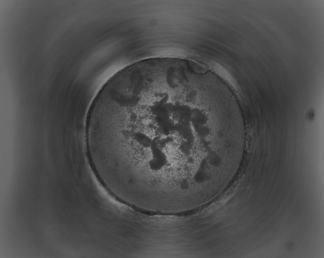 X0000093451087200710191057