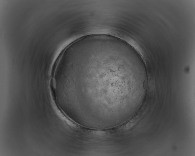 X0000093451088200710191057