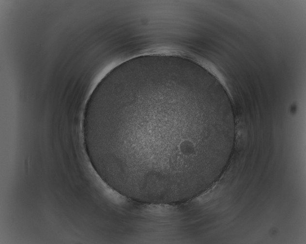 X0000093451091200710191057