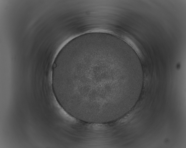 X0000093451092200710191057