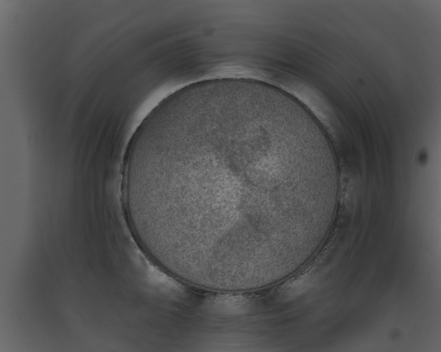 X0000093451094200710191057