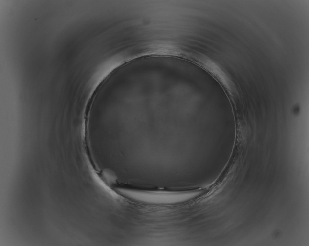 X0000093451095200710191057