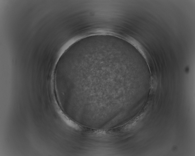 X0000093451098200710191057