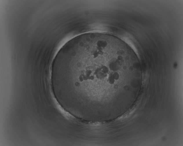 X0000093451099200710191057