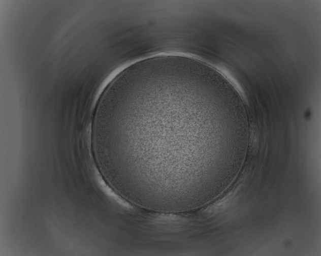 X0000093451100200710191057