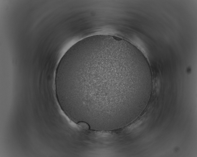 X0000093451103200710191057