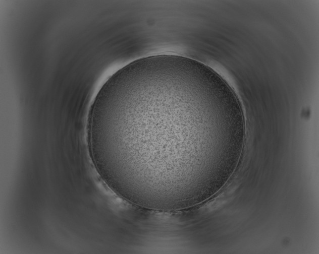 X0000093451104200710191057