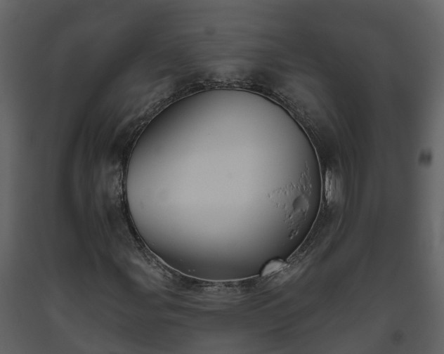 X0000093451107200710191057