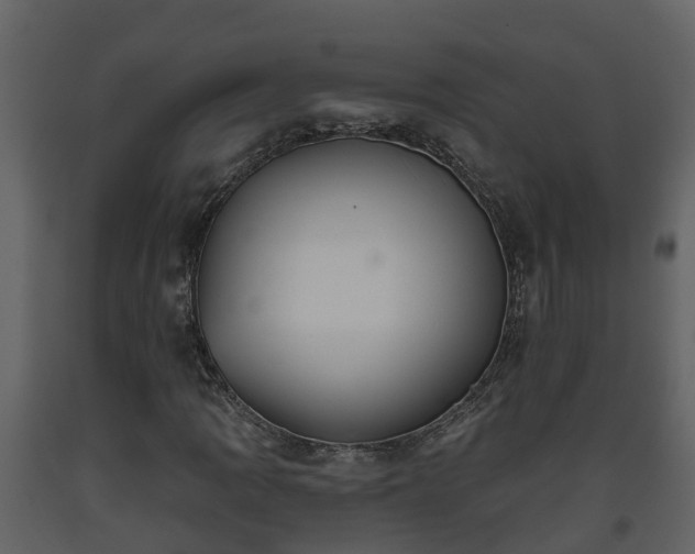 X0000093451109200710191057