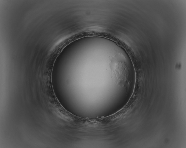 X0000093451112200710191057