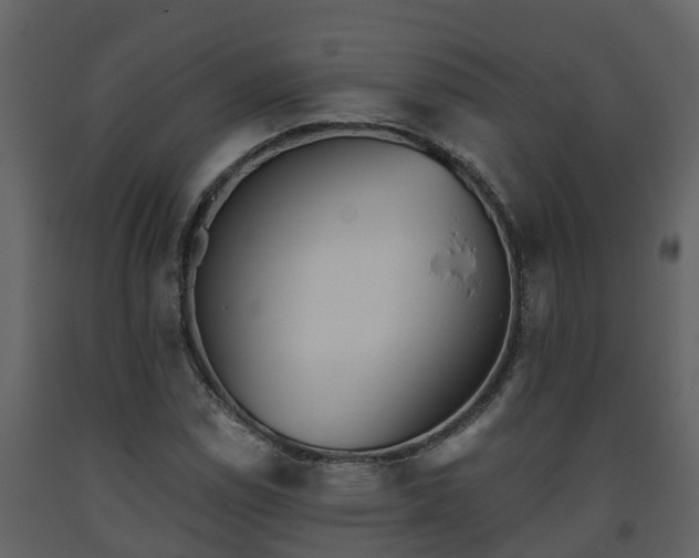 X0000093451114200710191057