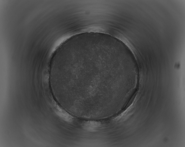 X0000093451115200710191057