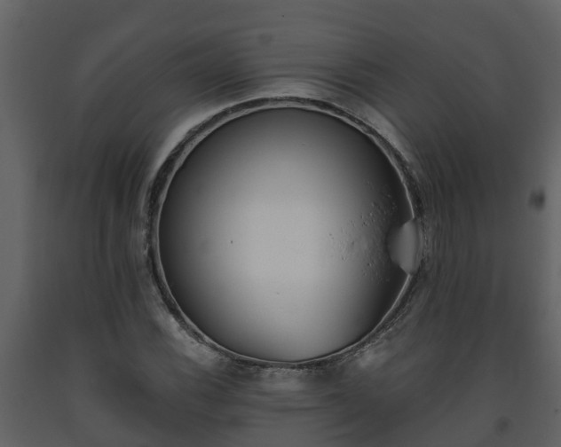 X0000093451116200710191057