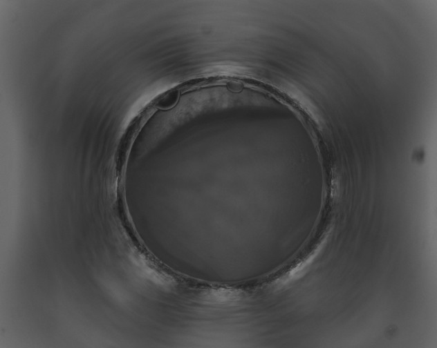 X0000093451117200710191057