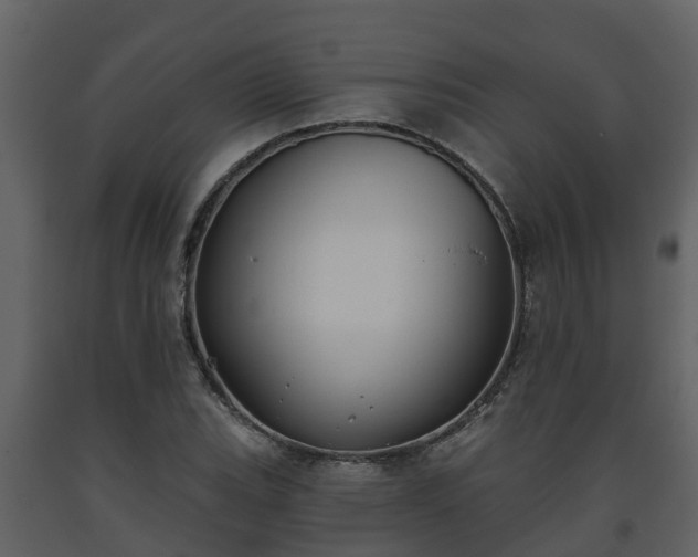 X0000093451119200710191057