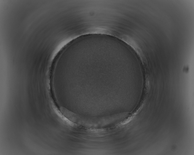 X0000093451120200710191057