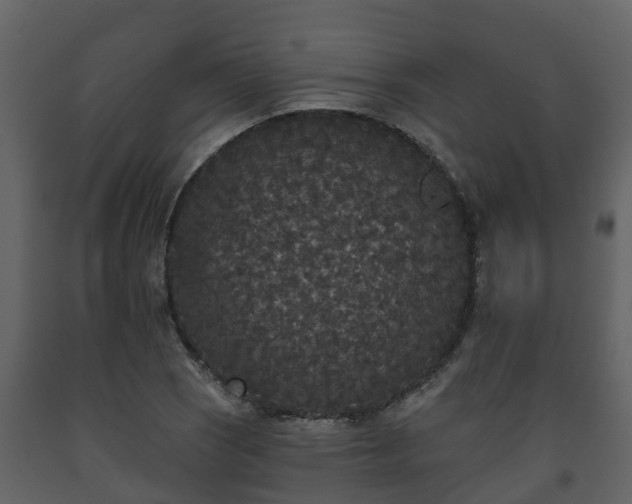 X0000093451121200710191057