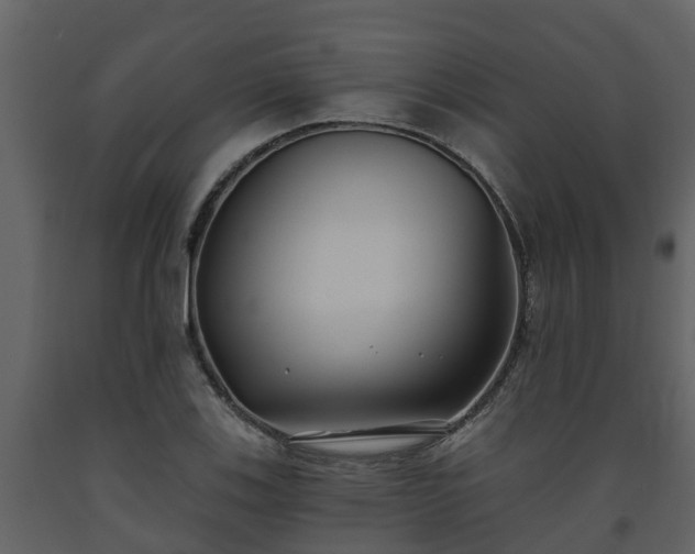 X0000093451123200710191057