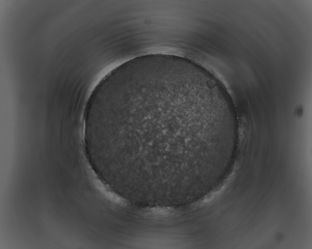 X0000093451125200710191057