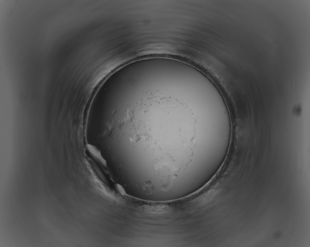 X0000093451129200710191057