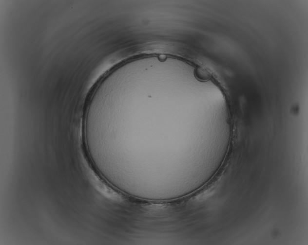 X0000093451130200710191057