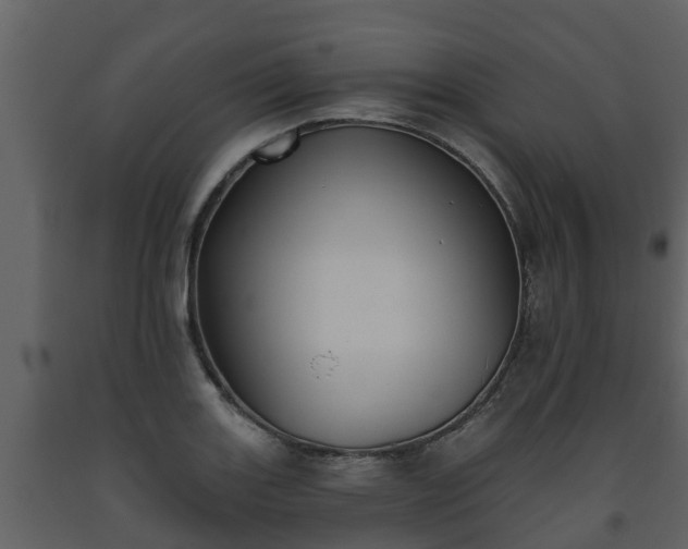 X0000093451131200710191057