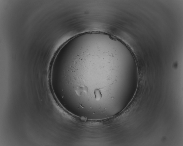 X0000093451135200710191057