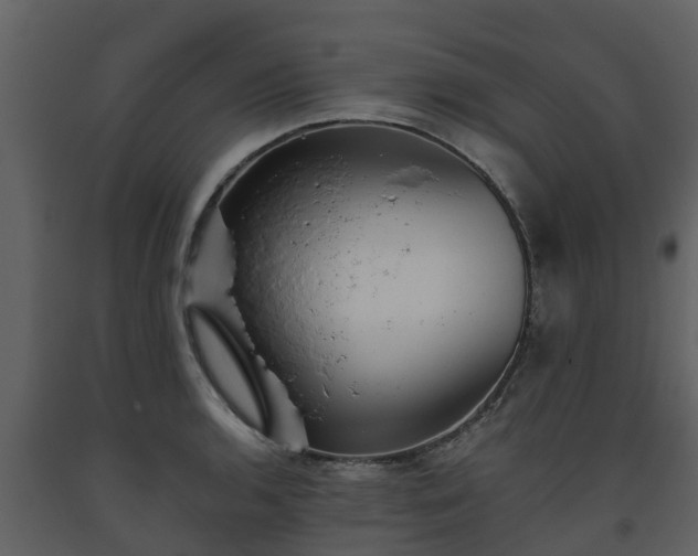 X0000093451136200710191057