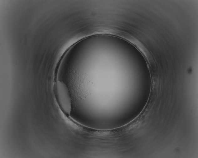 X0000093451143200710191057