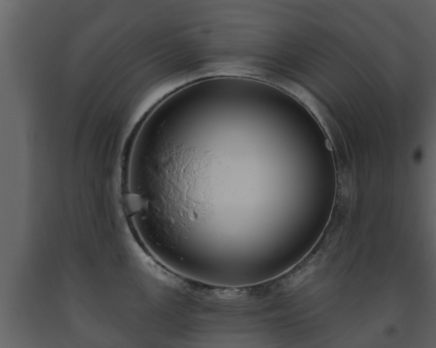 X0000093451147200710191057