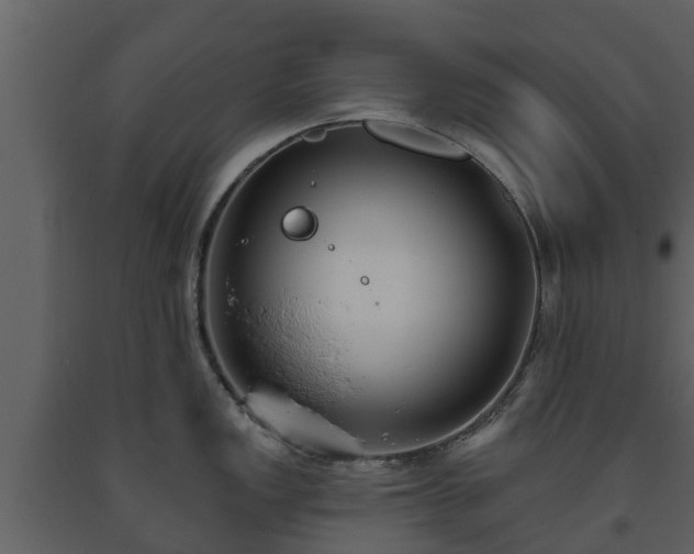 X0000093451149200710191057