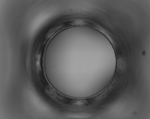 X0000093451150200710191057